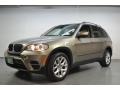 2011 Platinum Bronze Metallic BMW X5 xDrive 35i  photo #10