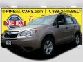 Burnished Bronze Metallic - Forester 2.5i Photo No. 1