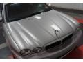 2004 Platinum Metallic Jaguar X-Type 3.0  photo #37