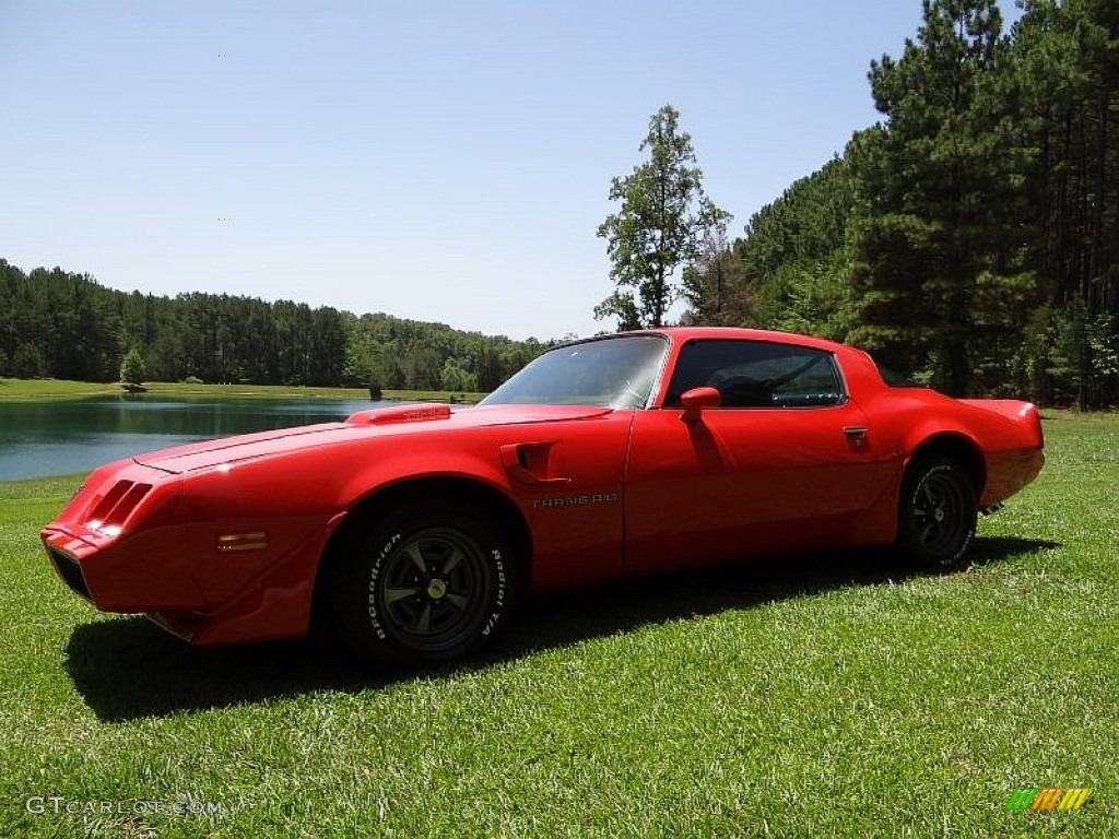 1980 Firebird Trans Am - Carousel Red / Black photo #3