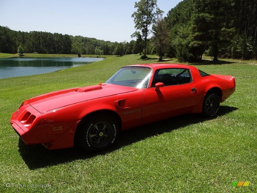 1980 Firebird Trans Am - Carousel Red / Black photo #4