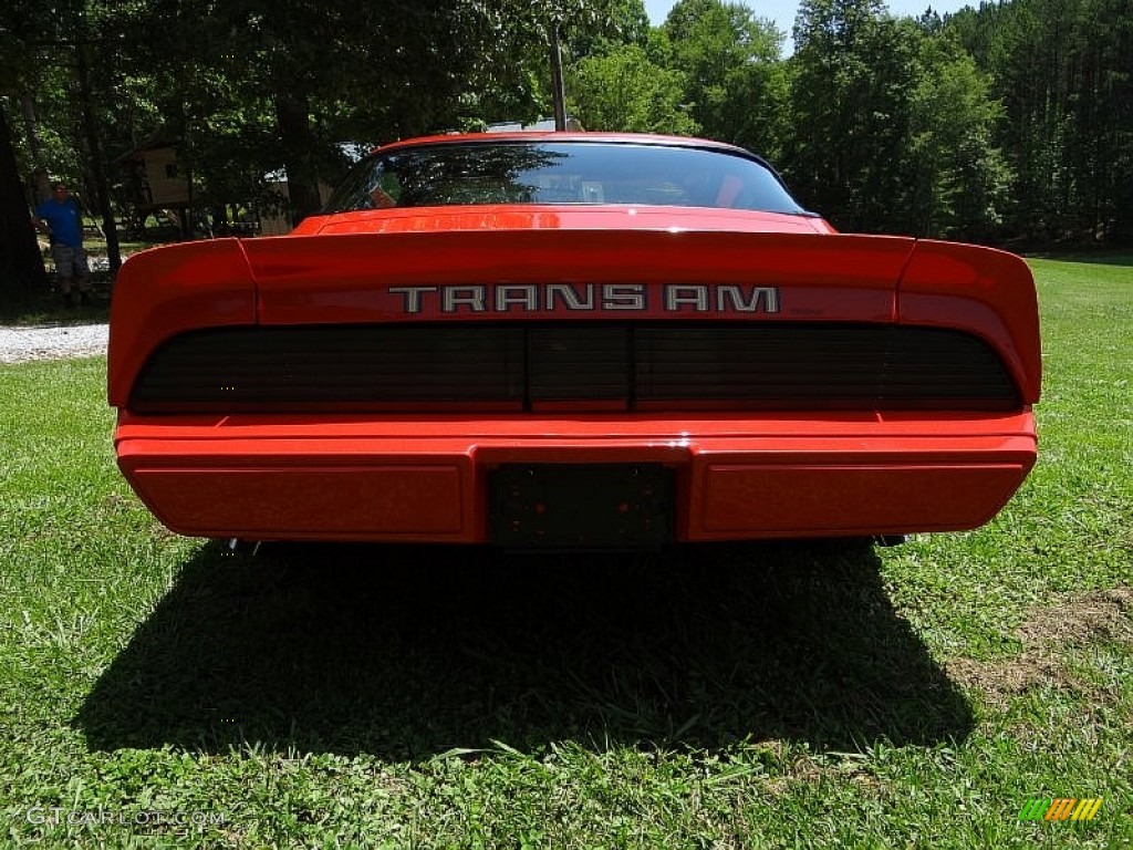 1980 Firebird Trans Am - Carousel Red / Black photo #8