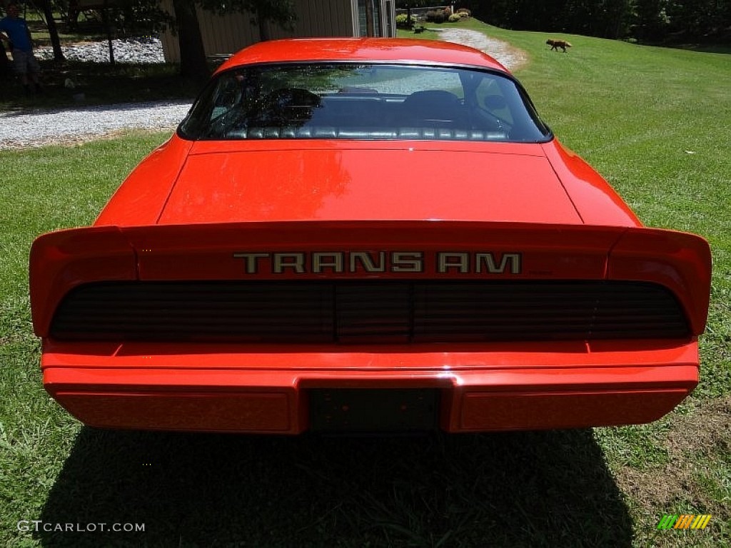1980 Firebird Trans Am - Carousel Red / Black photo #9