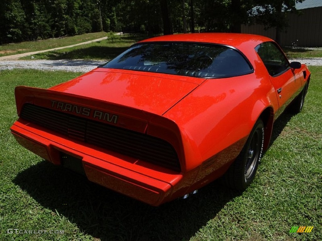 1980 Firebird Trans Am - Carousel Red / Black photo #11