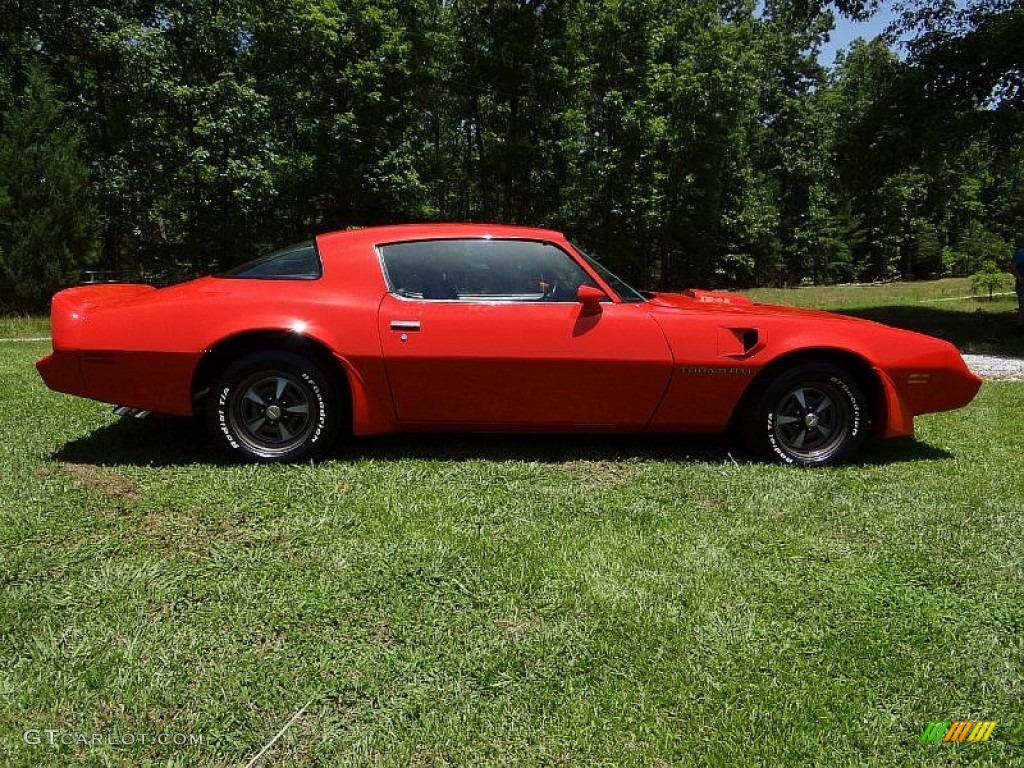 1980 Firebird Trans Am - Carousel Red / Black photo #12