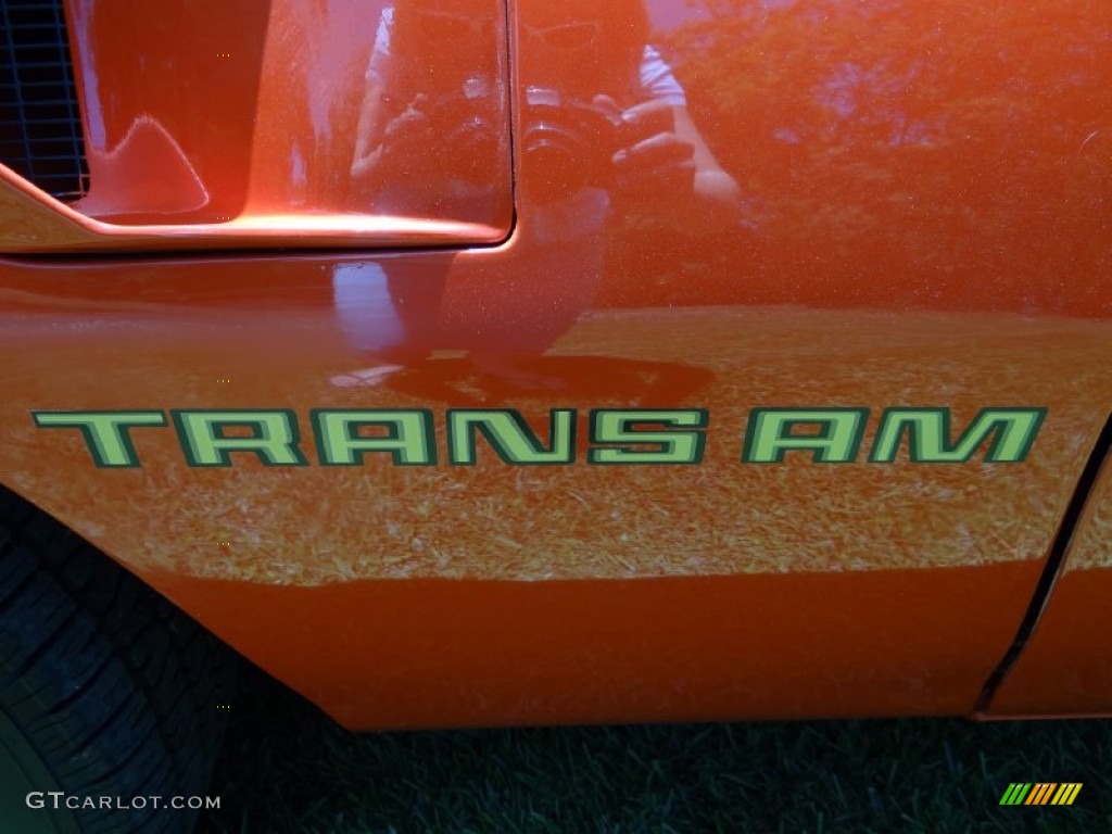 1980 Firebird Trans Am - Carousel Red / Black photo #18