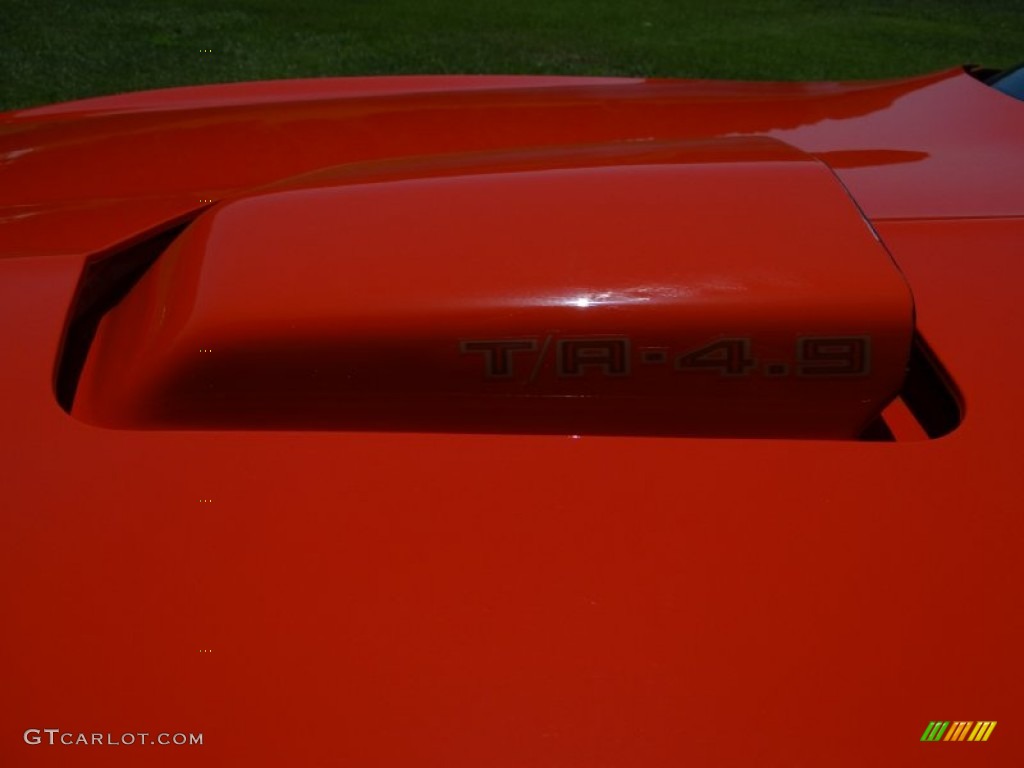 1980 Firebird Trans Am - Carousel Red / Black photo #25