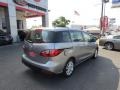 Liquid Silver Metallic - MAZDA5 Sport Photo No. 8