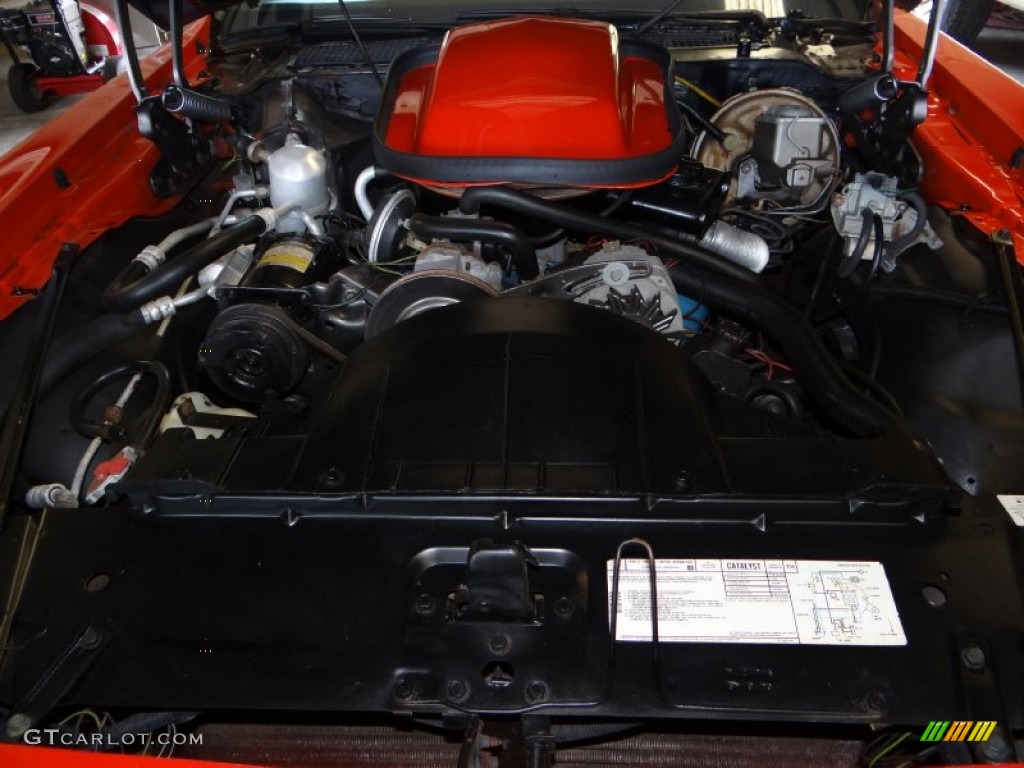 1980 Firebird Trans Am - Carousel Red / Black photo #33
