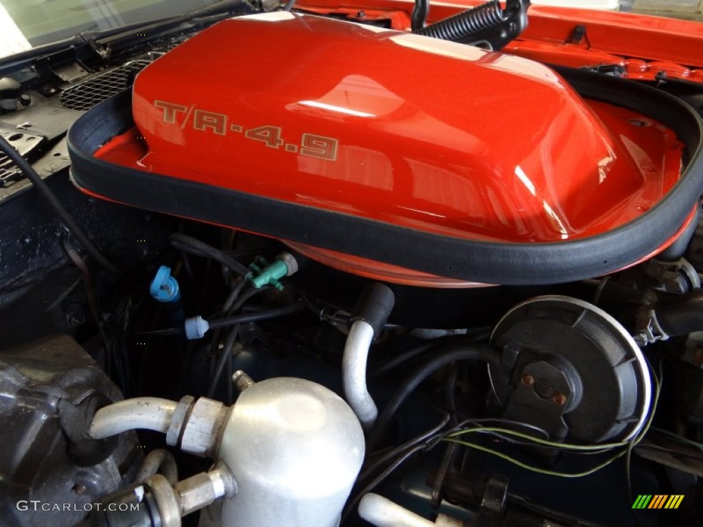 1980 Pontiac Firebird Trans Am 4.9 Liter OHV 16-Valve V8 Engine Photo #105984228
