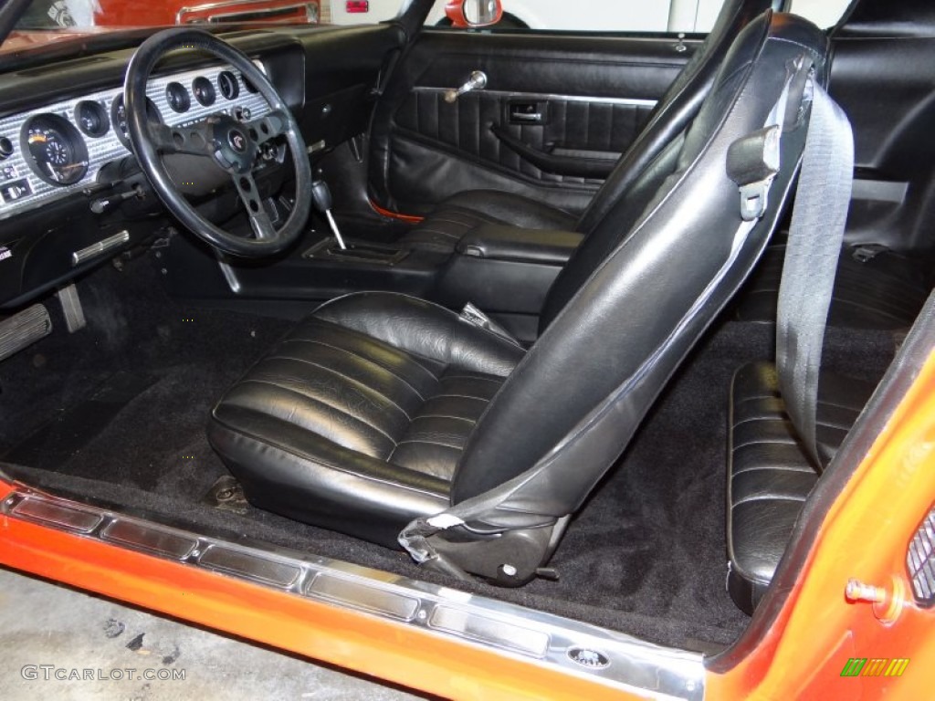 1980 Pontiac Firebird Trans Am Interior Color Photos