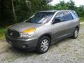 Light Driftwood 2002 Buick Rendezvous CX