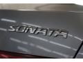 Steel Gray - Sonata SE V6 Photo No. 72