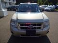 Gold Leaf Metallic - Escape XLS 4WD Photo No. 2