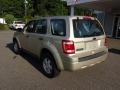 Gold Leaf Metallic - Escape XLS 4WD Photo No. 5