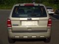 Gold Leaf Metallic - Escape XLS 4WD Photo No. 6
