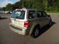 Gold Leaf Metallic - Escape XLS 4WD Photo No. 7