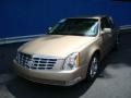 2006 Light Cashmere Metallic Cadillac DTS   photo #8