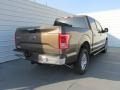 Caribou Metallic - F150 XLT SuperCrew 4x4 Photo No. 4