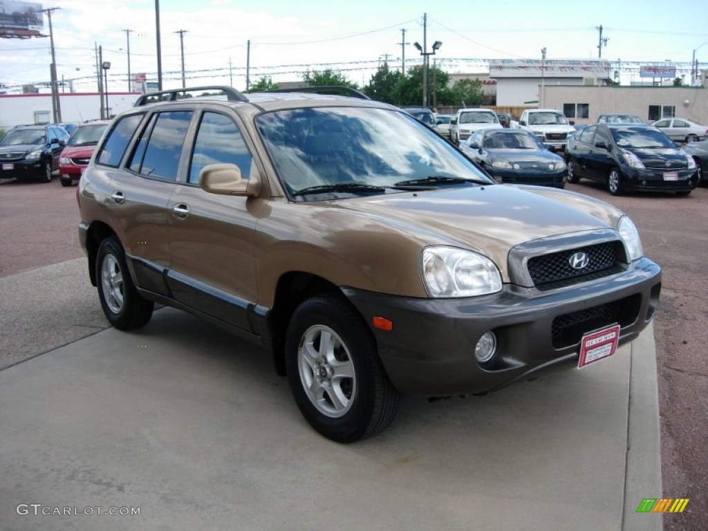 2002 Santa Fe GLS AWD - Sandstone / Beige photo #7