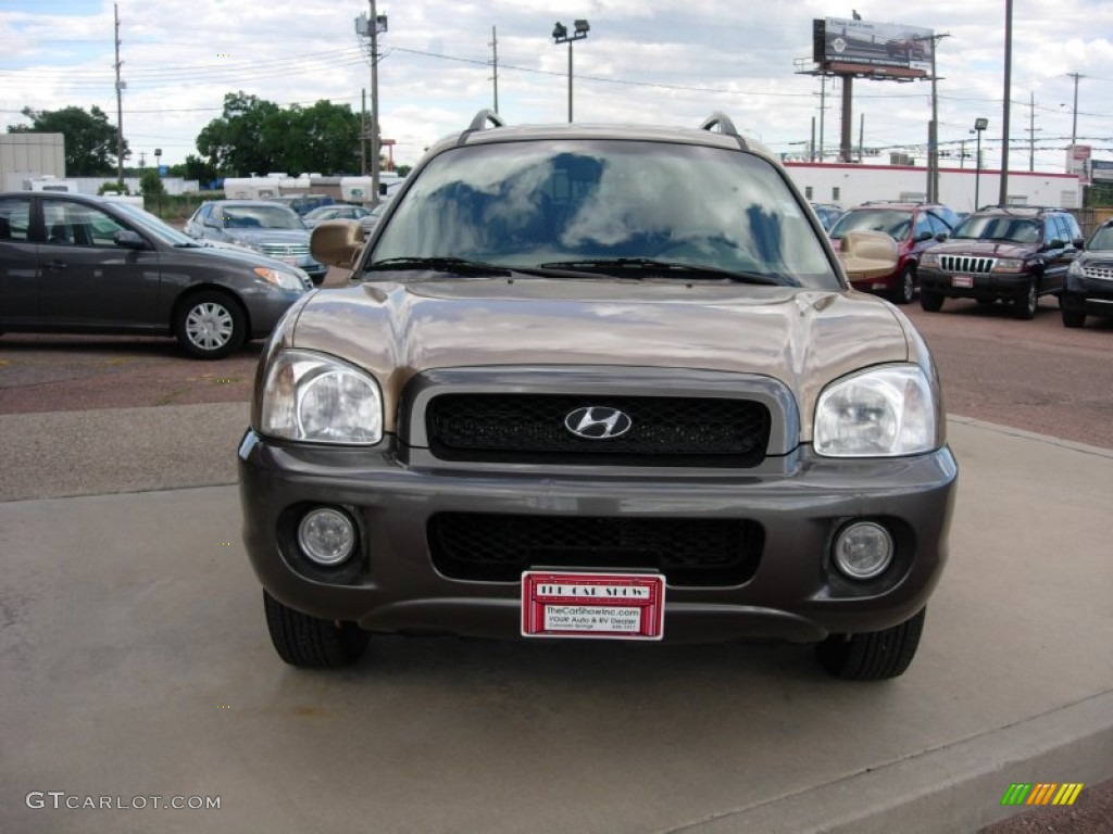 2002 Santa Fe GLS AWD - Sandstone / Beige photo #8