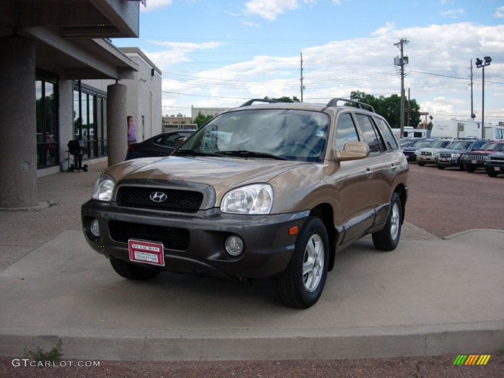 2002 Santa Fe GLS AWD - Sandstone / Beige photo #18