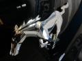 Black - Mustang EcoBoost Premium Coupe Photo No. 6