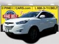 2014 Winter White Hyundai Tucson SE  photo #1