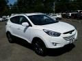 2014 Winter White Hyundai Tucson SE  photo #3