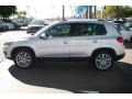 Reflex Silver Metallic - Tiguan S Photo No. 9