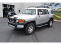 Titanium Metallic - FJ Cruiser 4WD Photo No. 5