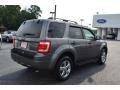 Sterling Gray Metallic - Escape XLT Photo No. 3