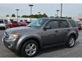 Sterling Gray Metallic - Escape XLT Photo No. 7
