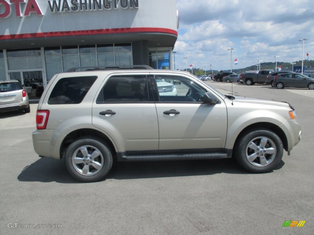 2011 Escape XLT 4WD - Gold Leaf Metallic / Charcoal Black photo #2