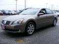Spirited Bronze - Maxima 3.5 SL Photo No. 7