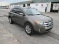 Mineral Gray Metallic - Edge SEL AWD Photo No. 1