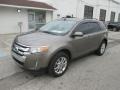 2013 Mineral Gray Metallic Ford Edge SEL AWD  photo #8