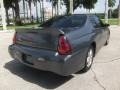 Medium Gray Metallic - Monte Carlo SS Photo No. 4