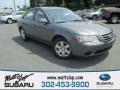 Willow Gray - Sonata GLS Photo No. 1