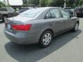 Willow Gray - Sonata GLS Photo No. 6