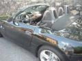 Black Sapphire Metallic - M Roadster Photo No. 19