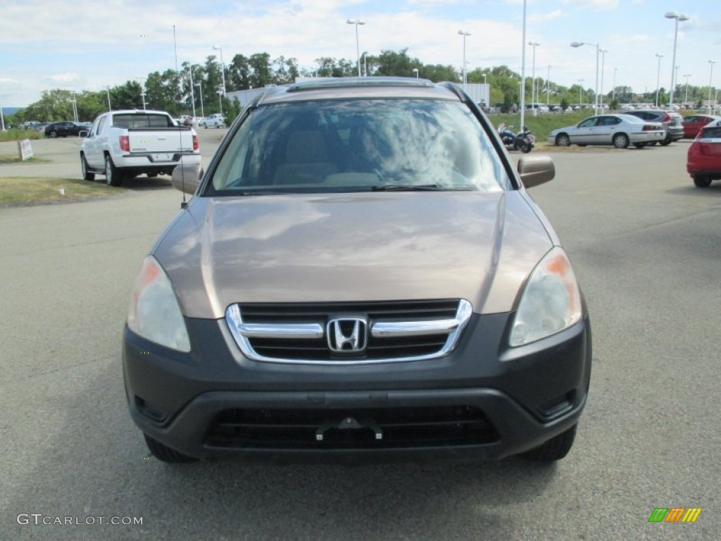 2003 CR-V EX 4WD - Mojave Mist Metallic / Saddle photo #19