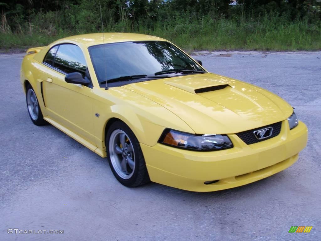 2003 Zinc Yellow Ford Mustang Gt Coupe 10607257 Car