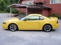 2003 Zinc Yellow Ford Mustang GT Coupe  photo #9