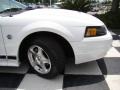 2004 Oxford White Ford Mustang V6 Convertible  photo #20