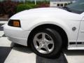 2004 Oxford White Ford Mustang V6 Convertible  photo #21