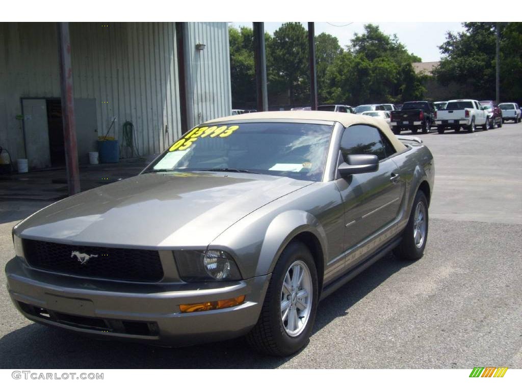 2005 Mustang V6 Deluxe Convertible - Mineral Grey Metallic / Medium Parchment photo #3