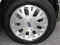2004 Arizona Beige Metallic Ford Crown Victoria LX  photo #24