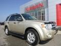 Gold Leaf Metallic 2010 Ford Escape XLT 4WD