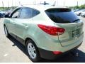 2010 Kiwi Green Hyundai Tucson GLS AWD  photo #7